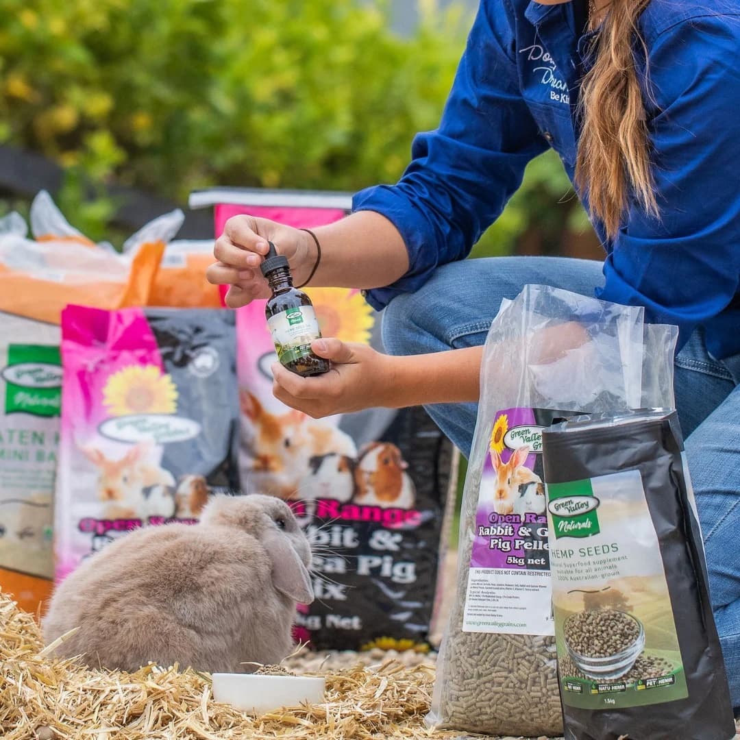 Rabbit beside bags of small animal feed and a supplement dropper